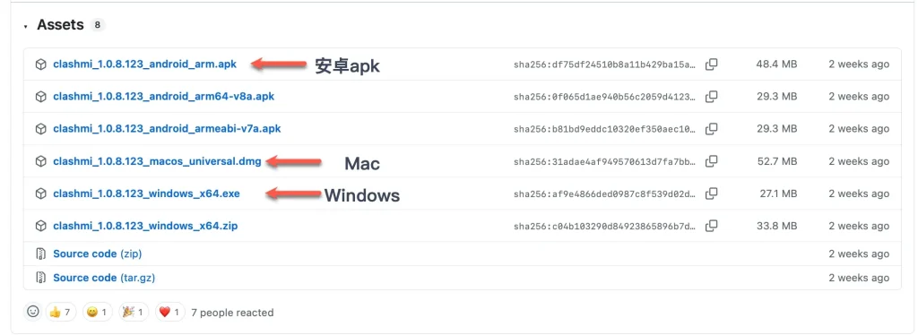 clashmi下载页
